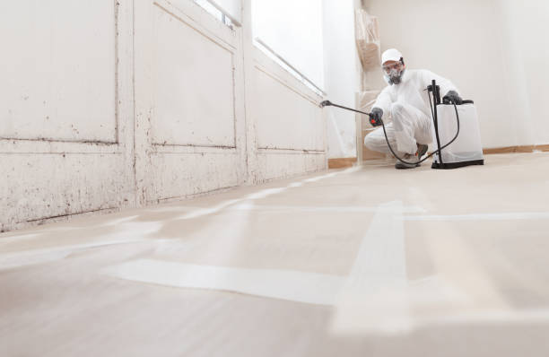 24/7 Emergency Mold Remediation experts in Hamilton, MI